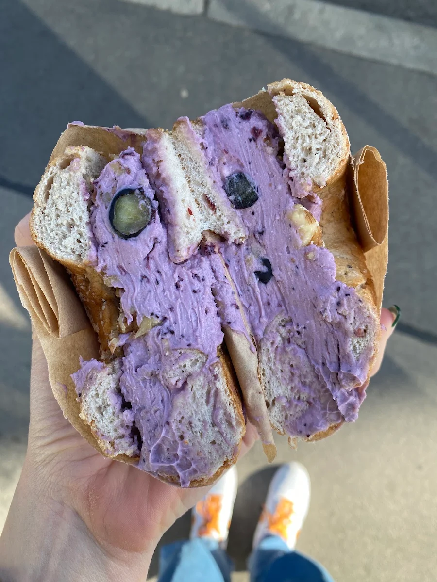 Blueberry Bagel