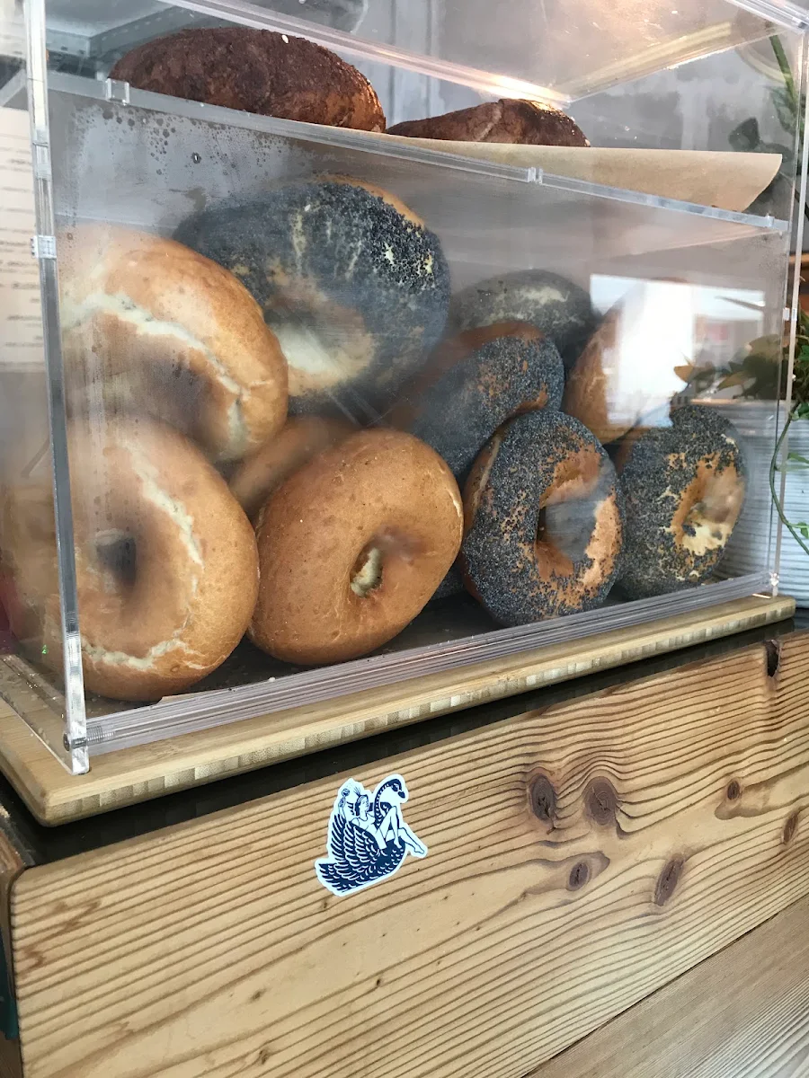 Plain Bägel