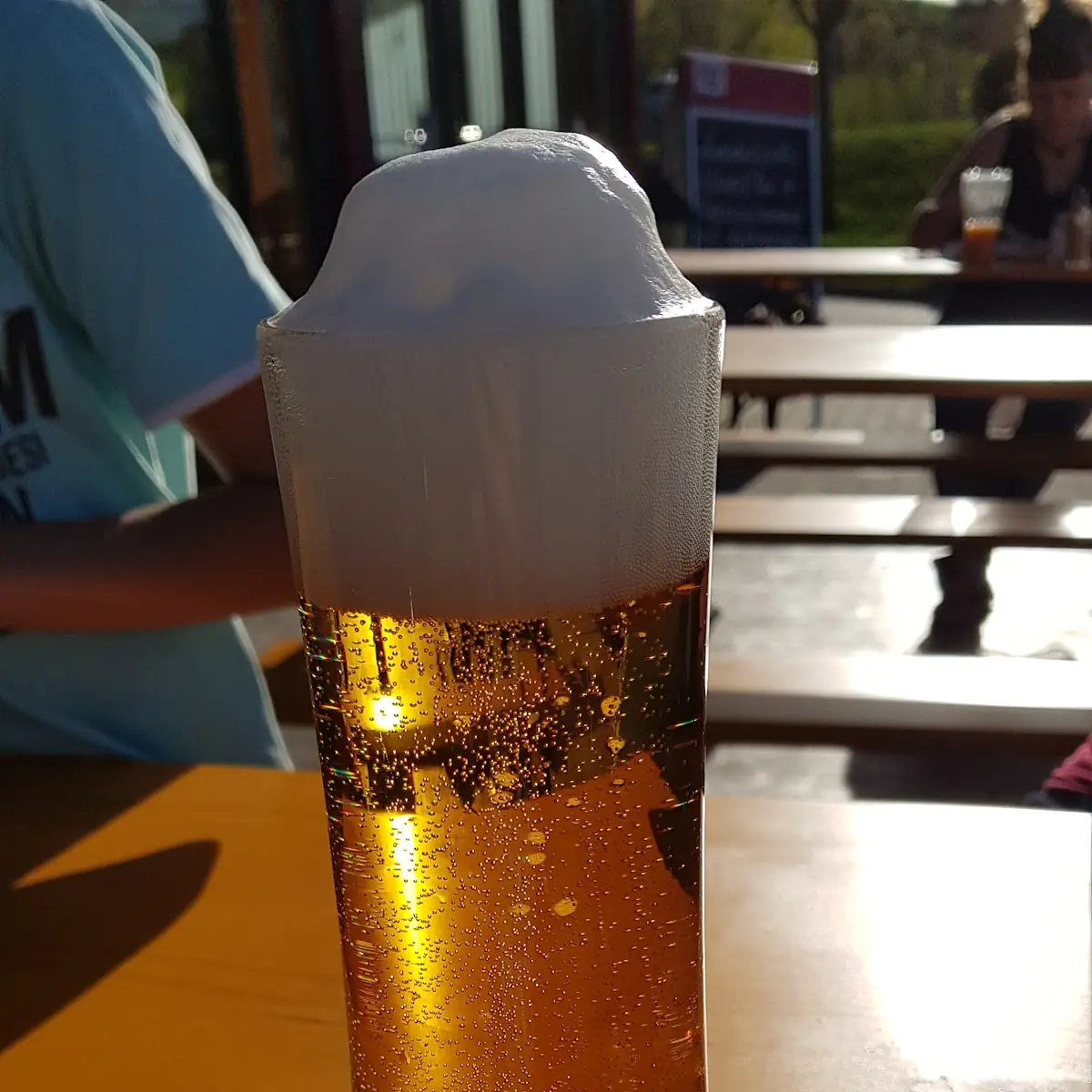 Bier