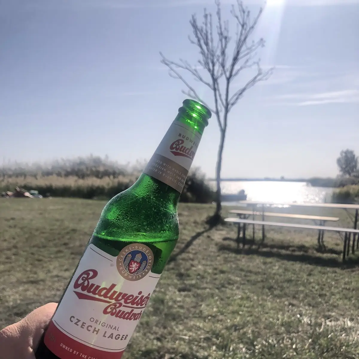 Bestes Bier