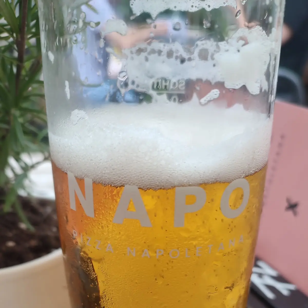 Bier