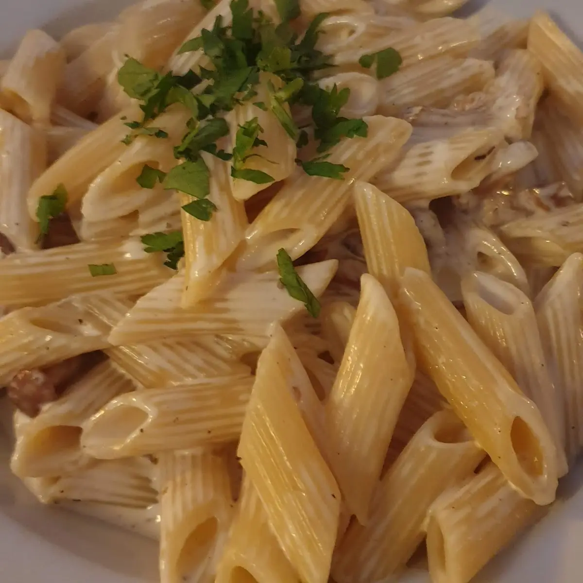 Penne Als Tagesgericht