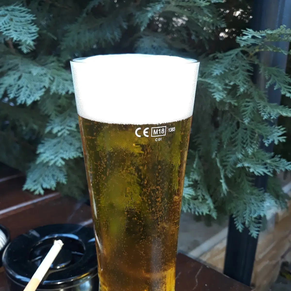 Bier