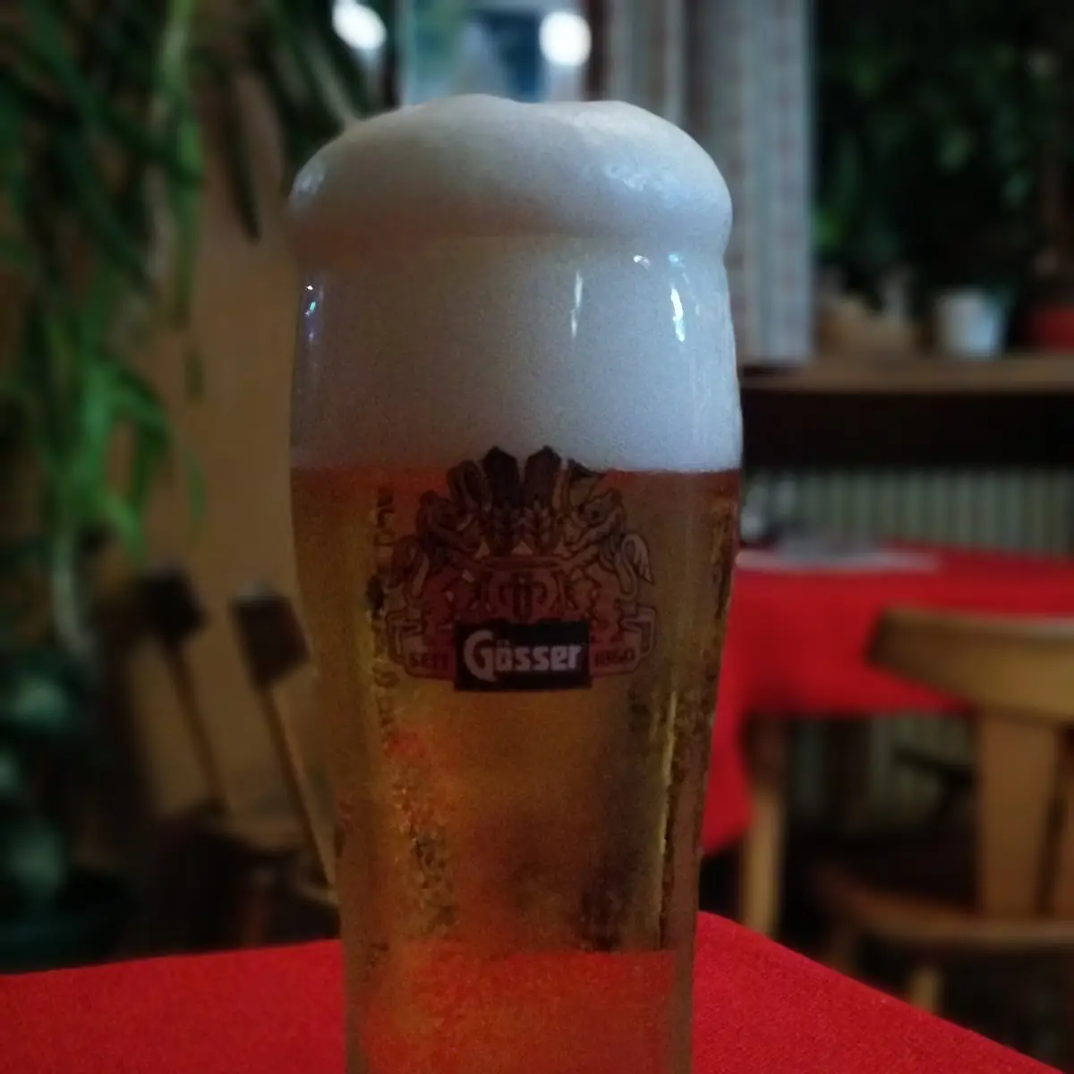 Bier