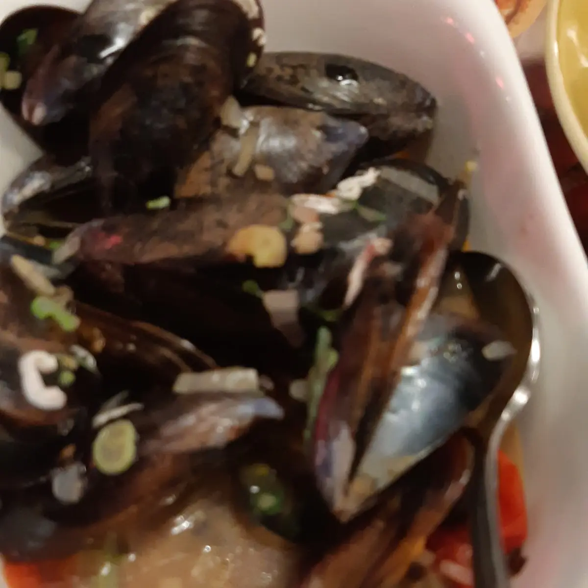 Muscheln