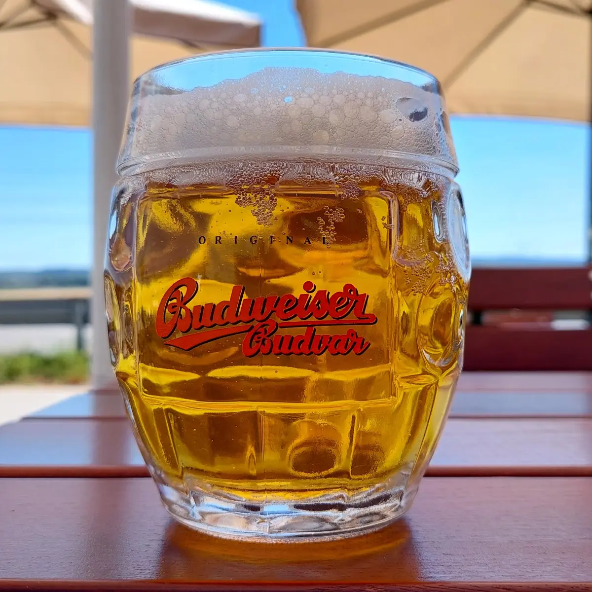 Bier