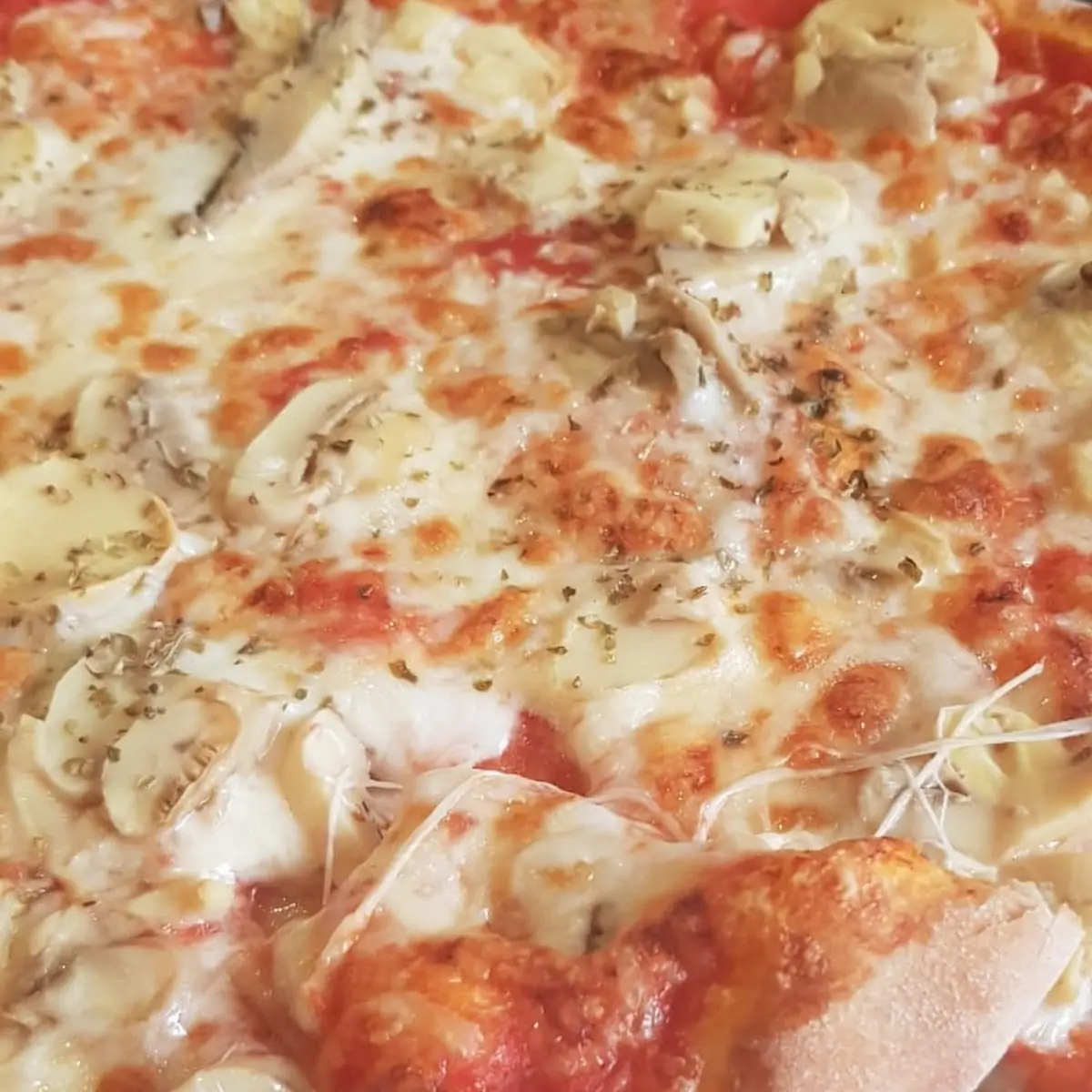 Pizza Funghi