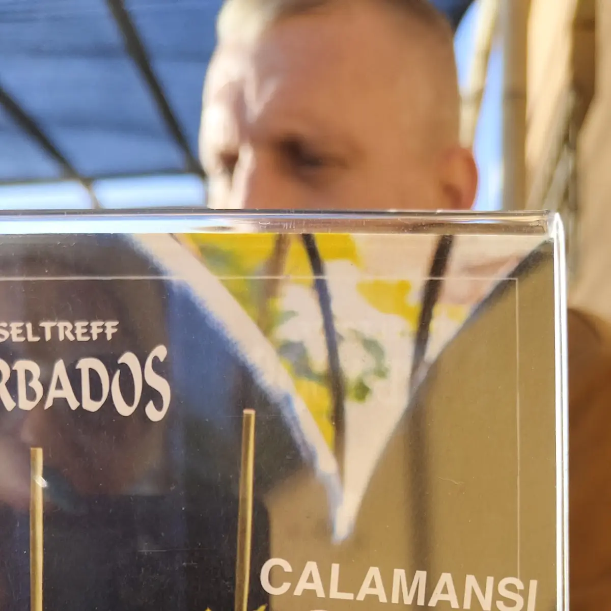 Calamansi