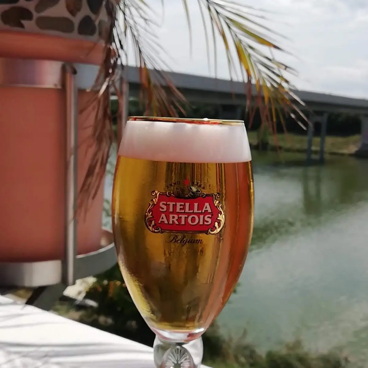 Stella Artois Vom Fass Gut Gekühlt Schön Serviert