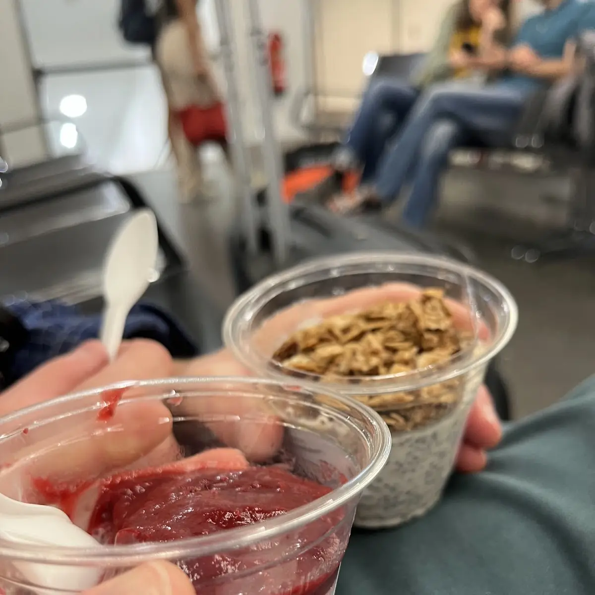 Chia Puddings