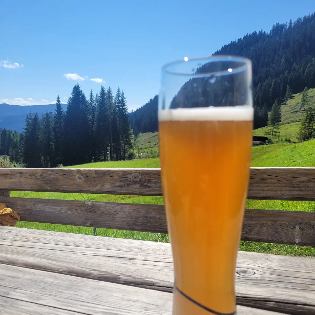 Bier