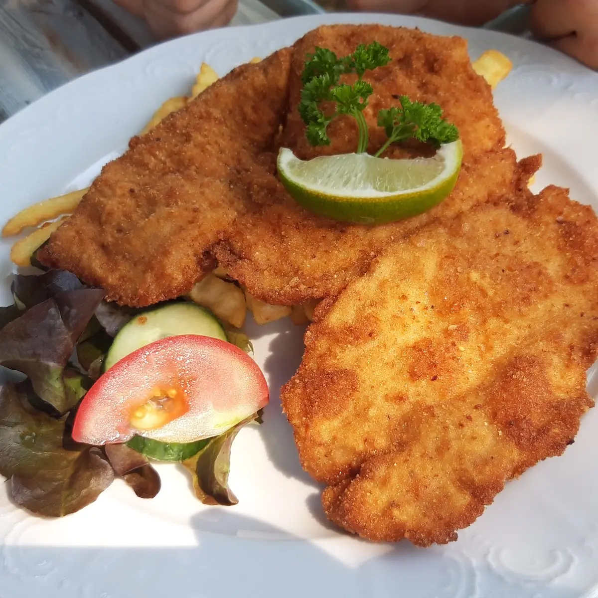 Putenschnitzel