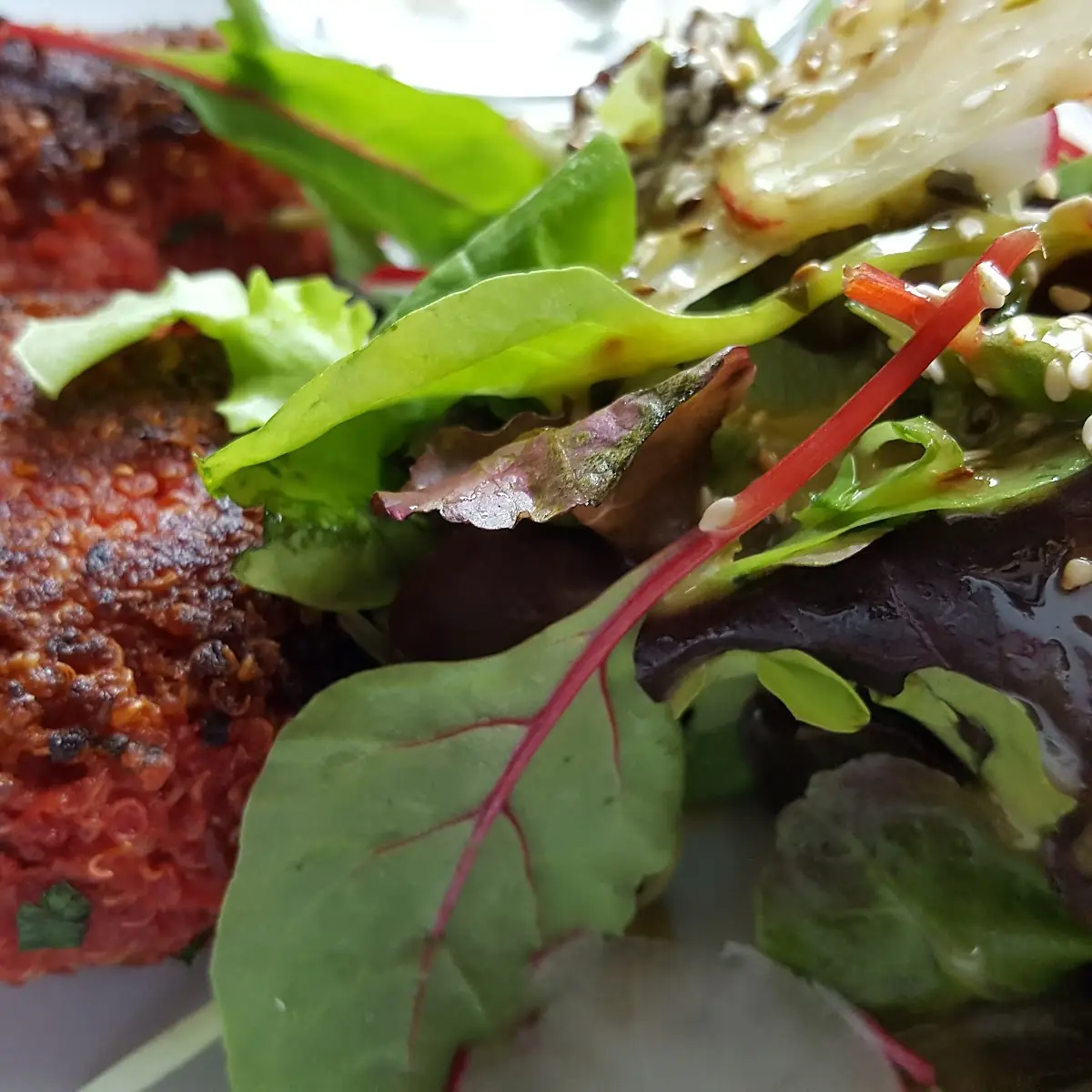 Falafel Plate