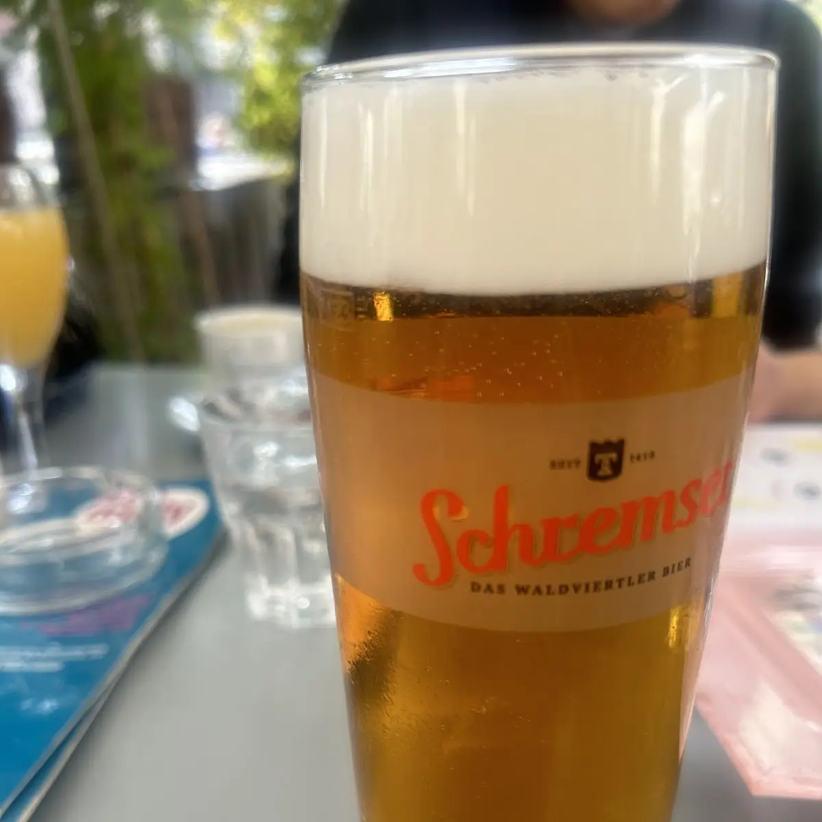 Bier