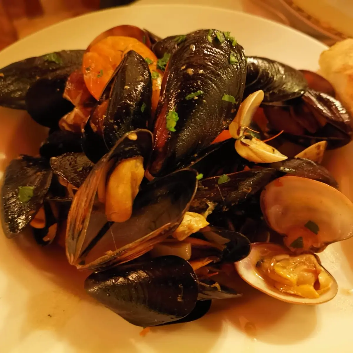 Mare Misto Alla Buzzers