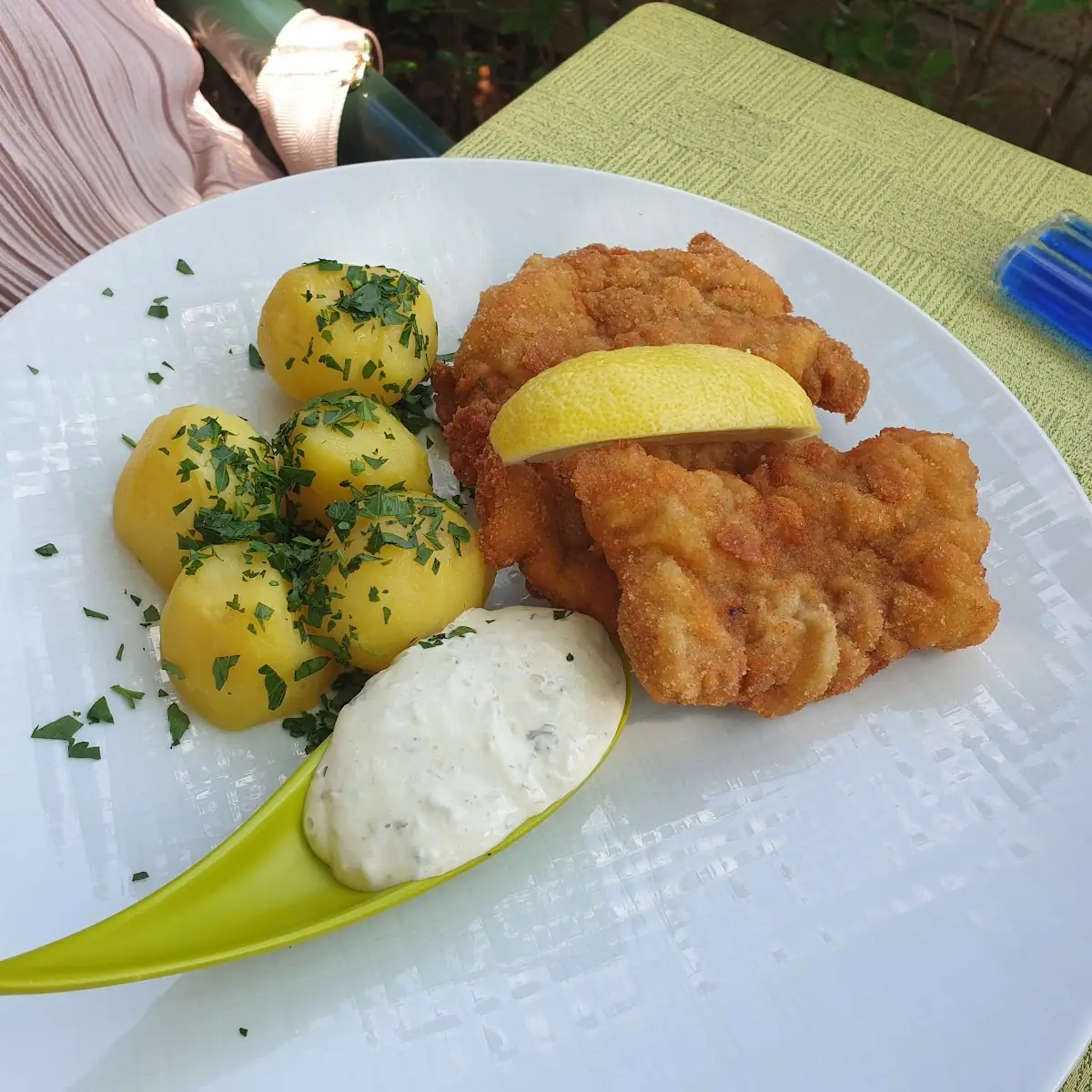 Gebackener Zander
