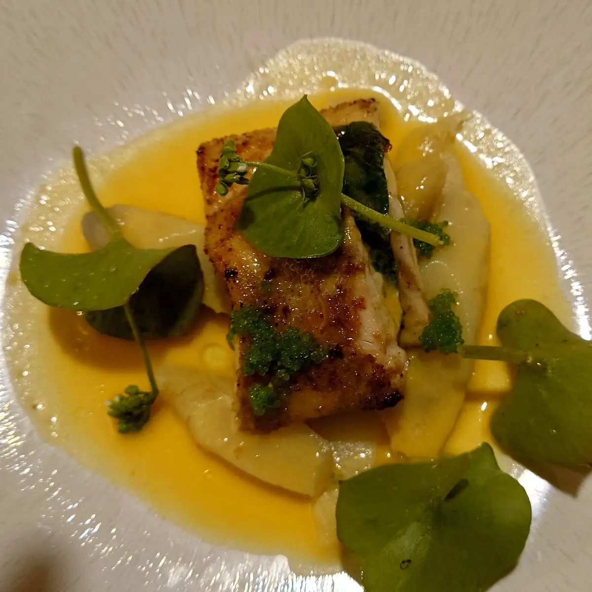Fisch