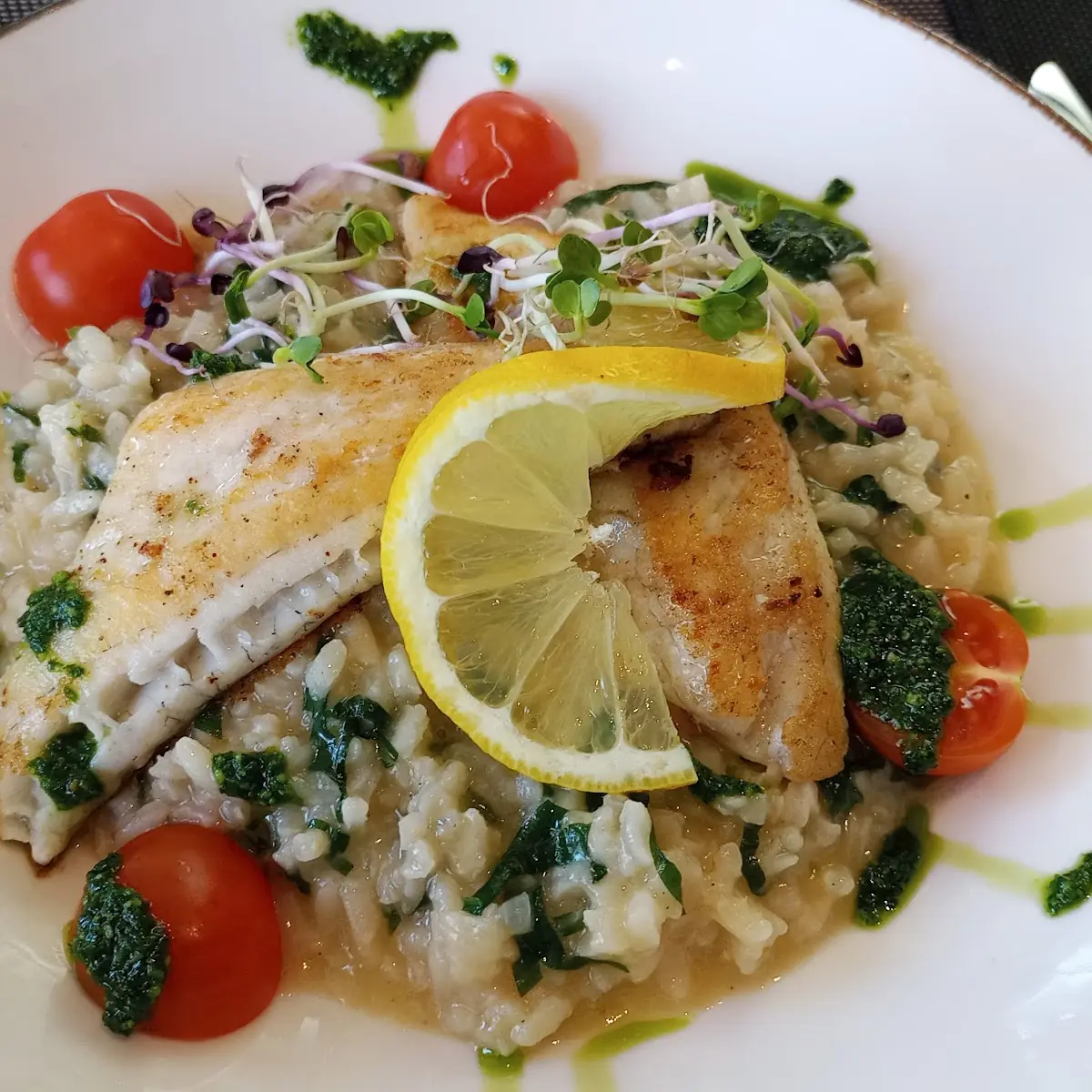 Zanderfilet Auf Bärlauch-risotto