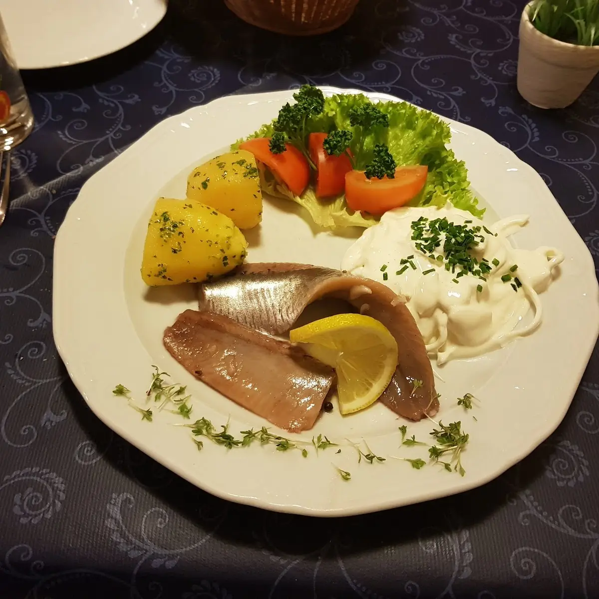 Matjes