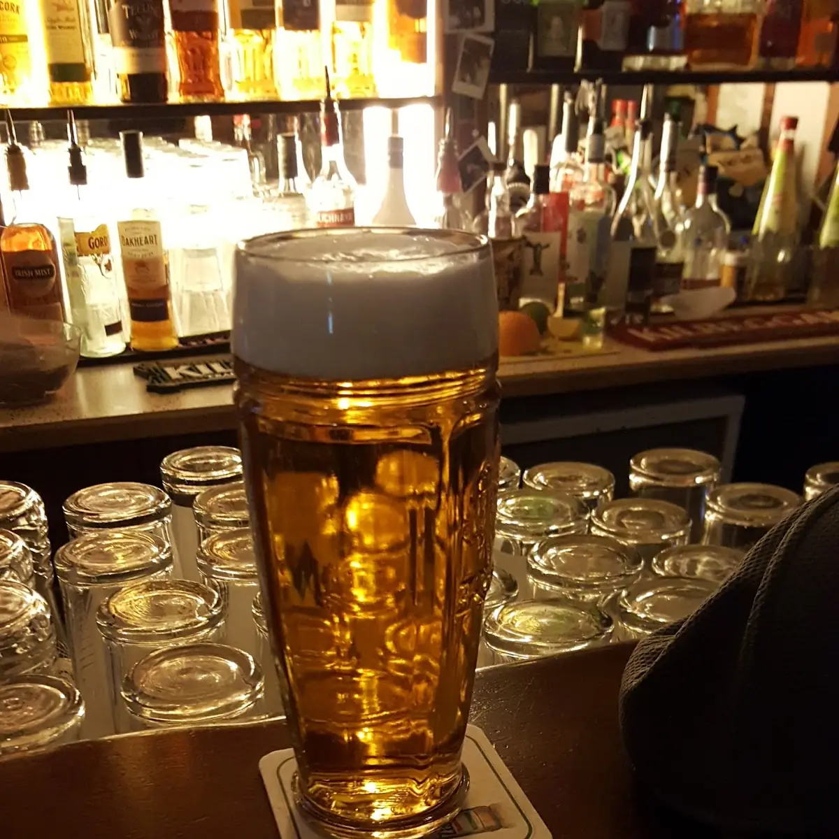 Czech Beer