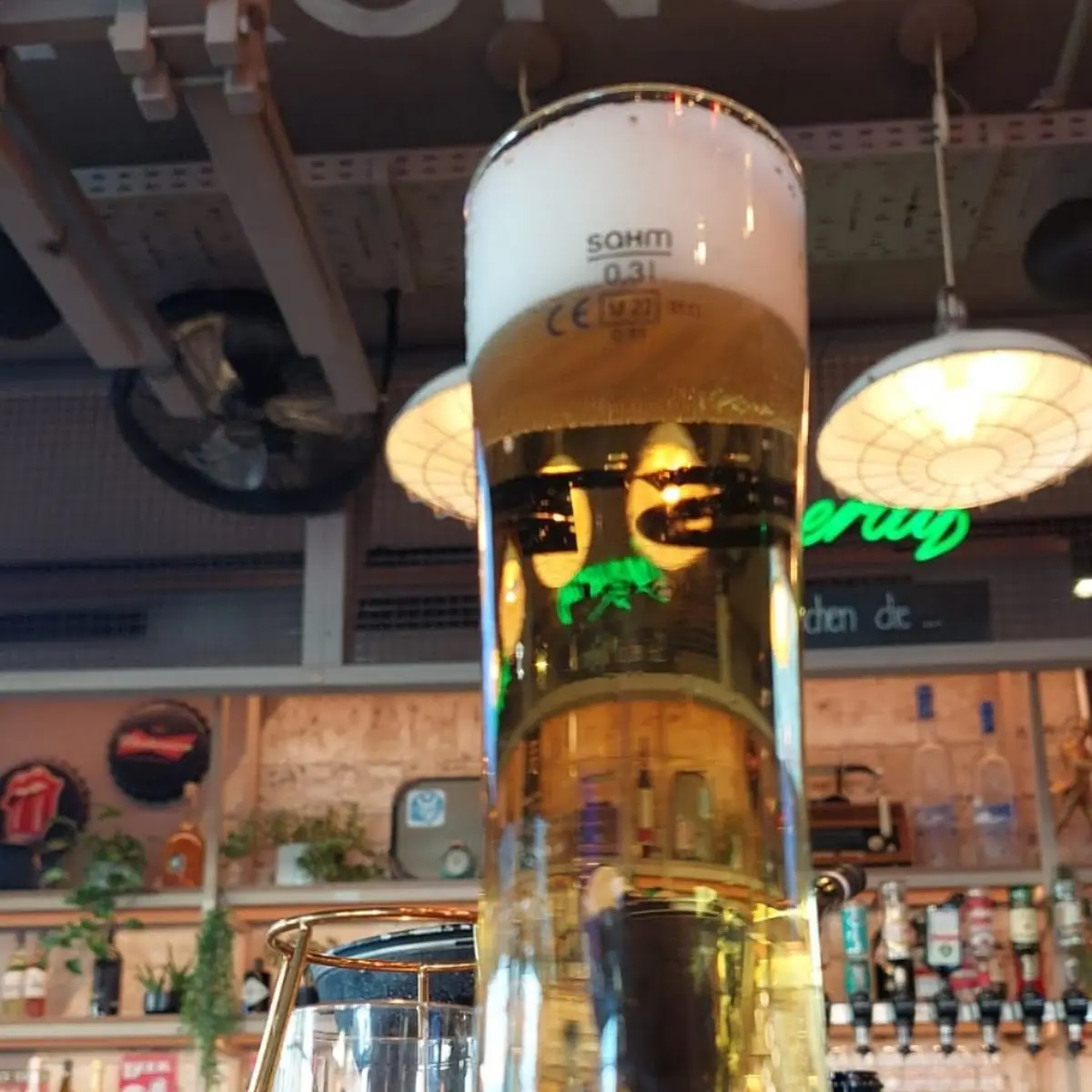 Bier
