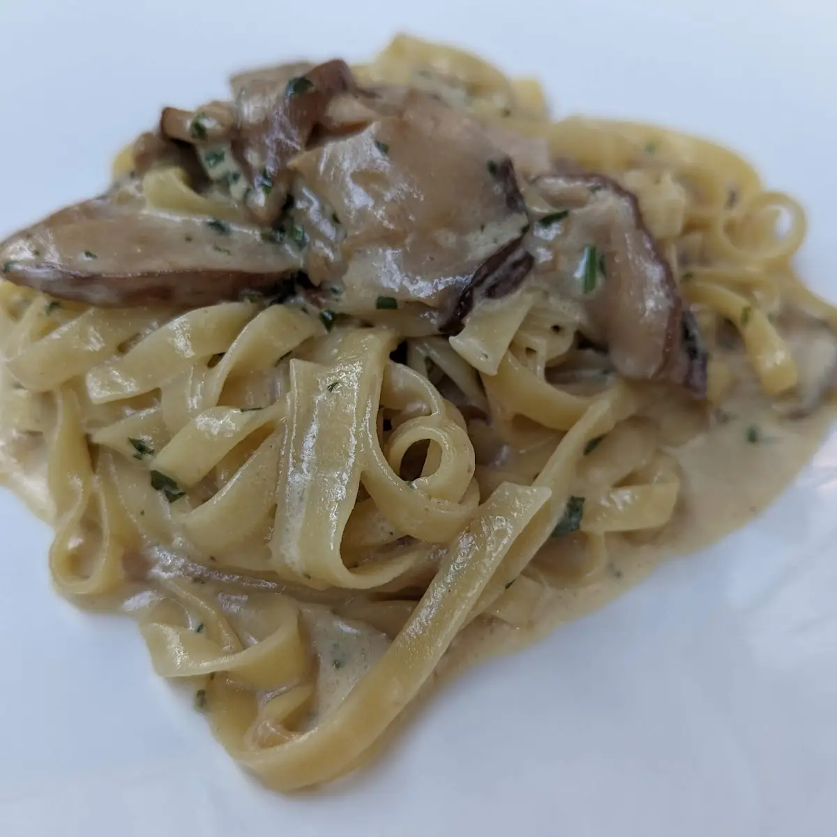 Tagliatelle Ai Porcini