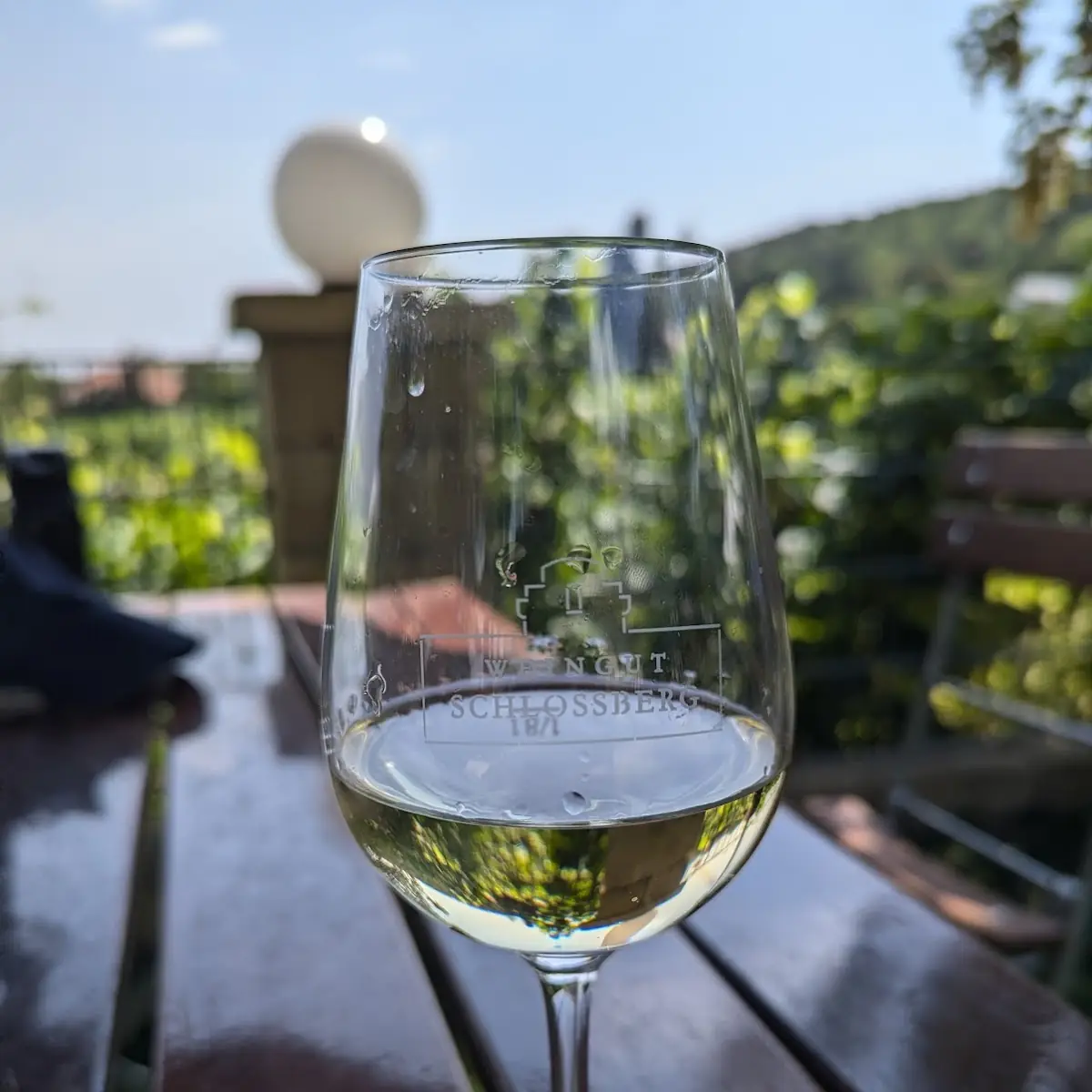 Grüner Veltliner