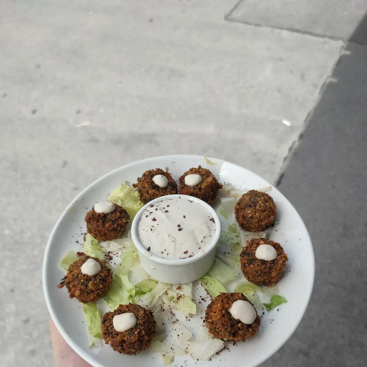 Falafel Plate