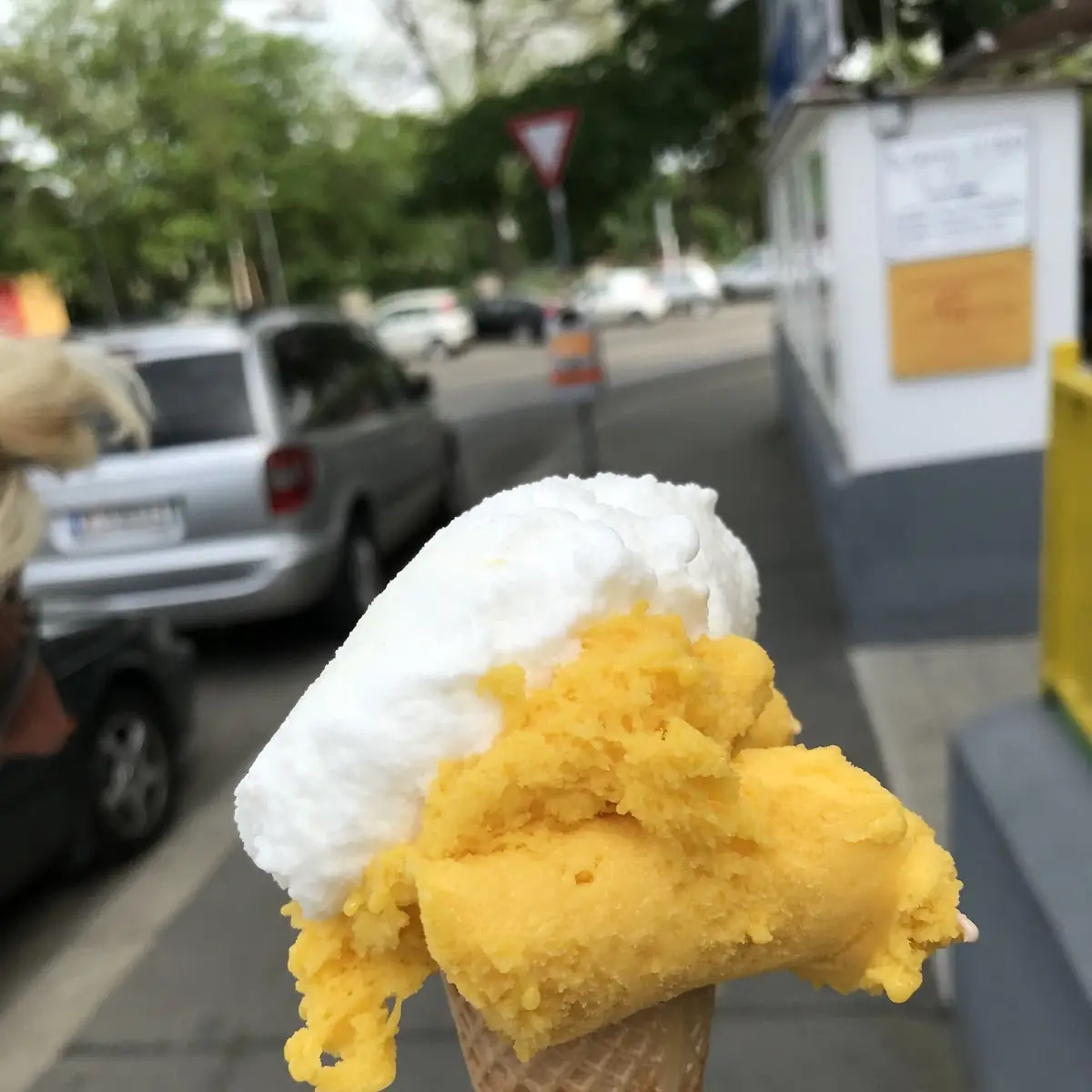 Highlights, Eissalon Ruckenbauer