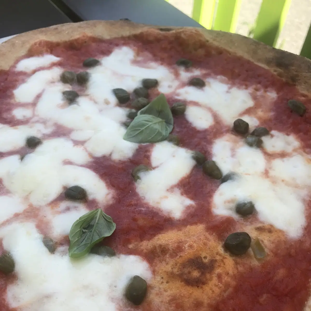 Bio-Pizza Bufalina