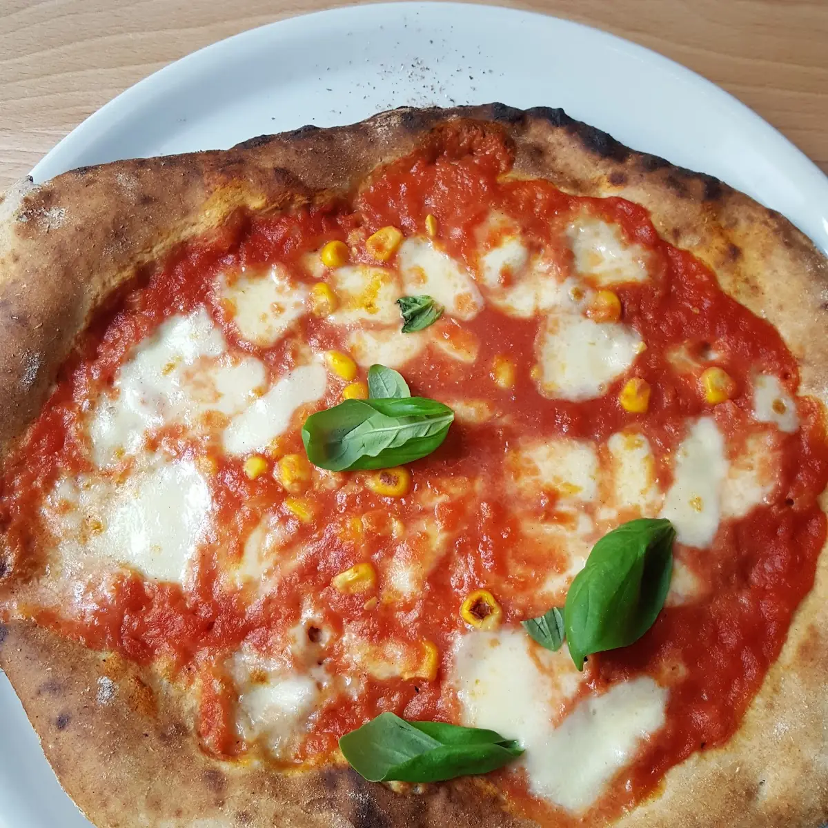 Pizza Margherita