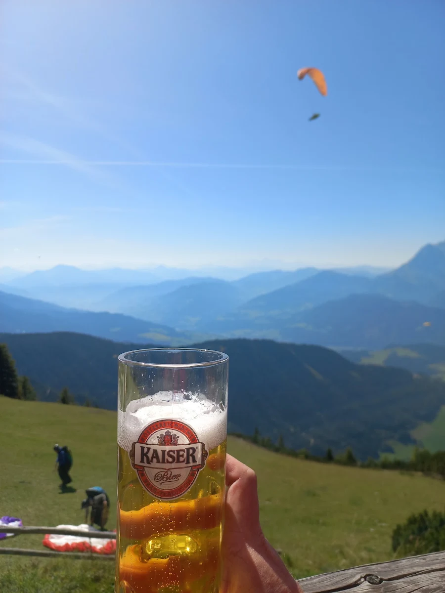 Bier