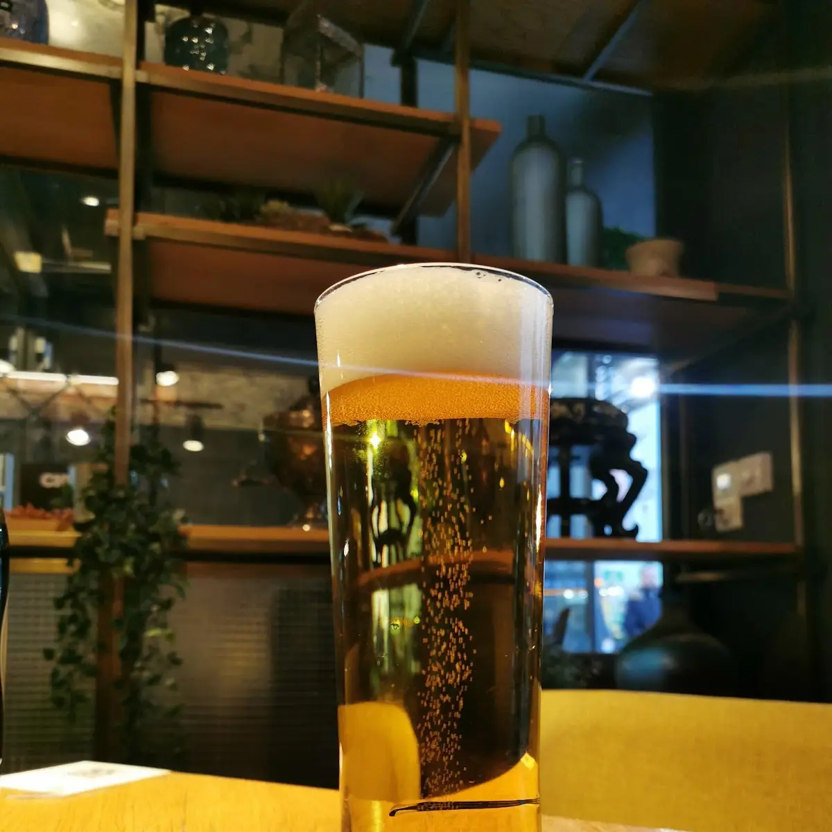 Bier
