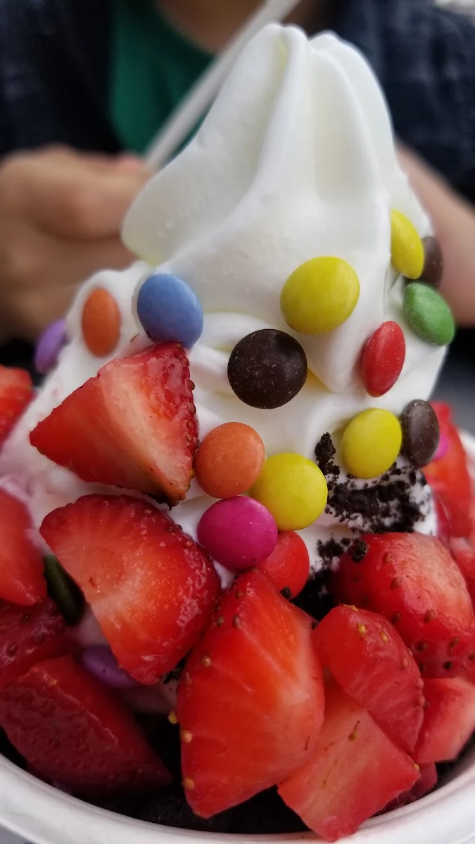 Frozen Yogurt