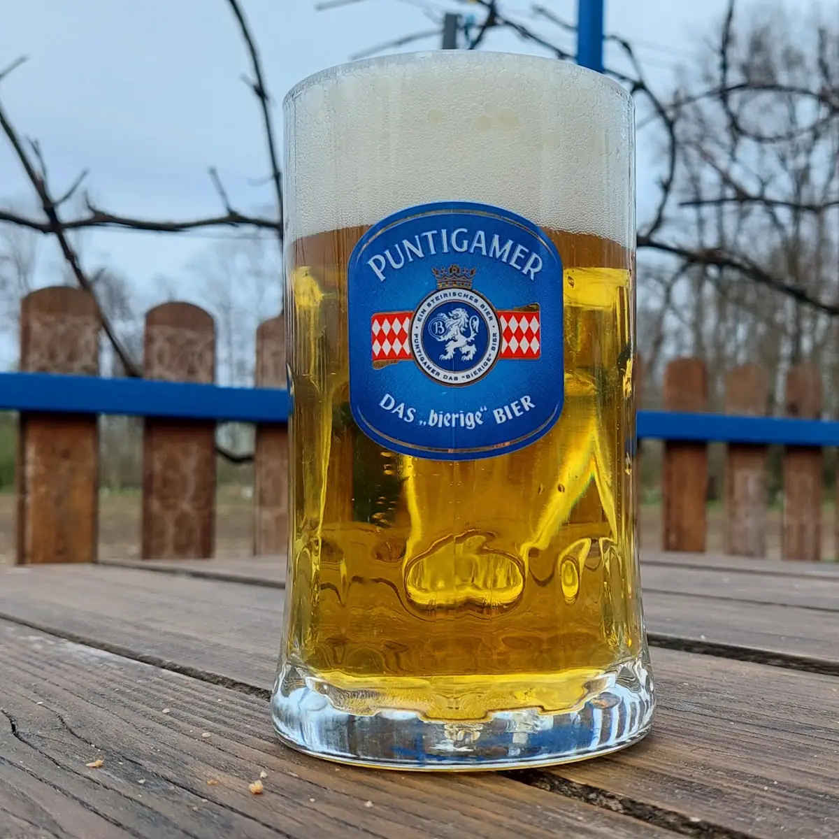 Bier