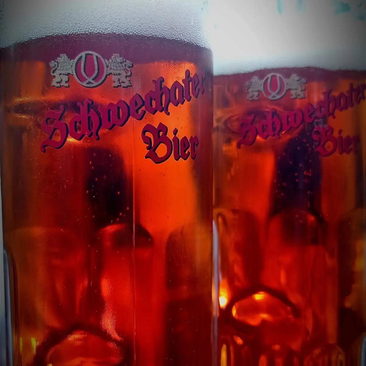 Schwechater Zwickl
