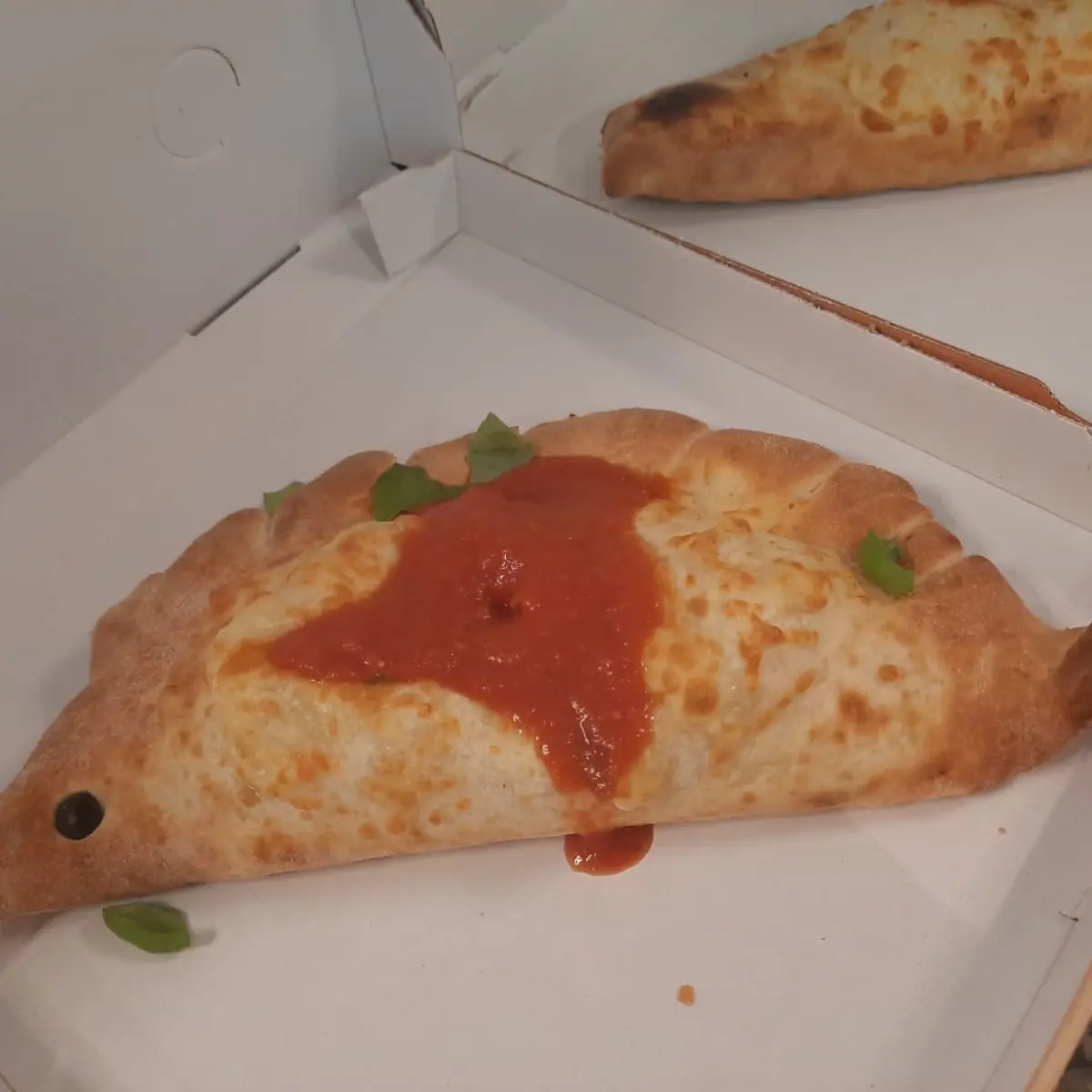 Pizza Calzone