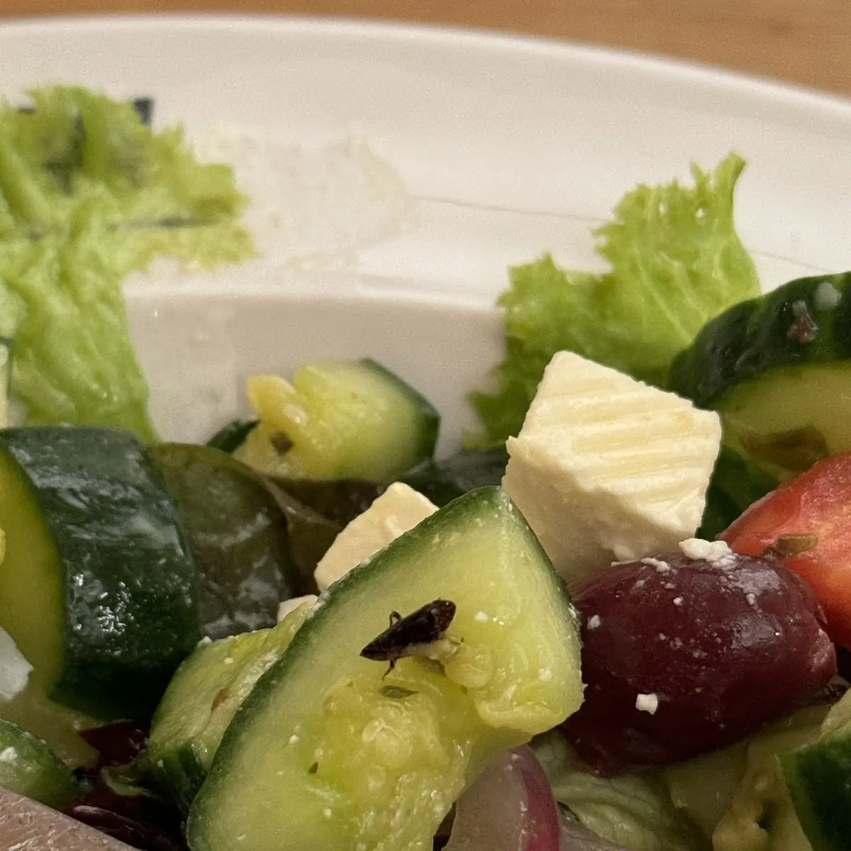 Styrian Salad