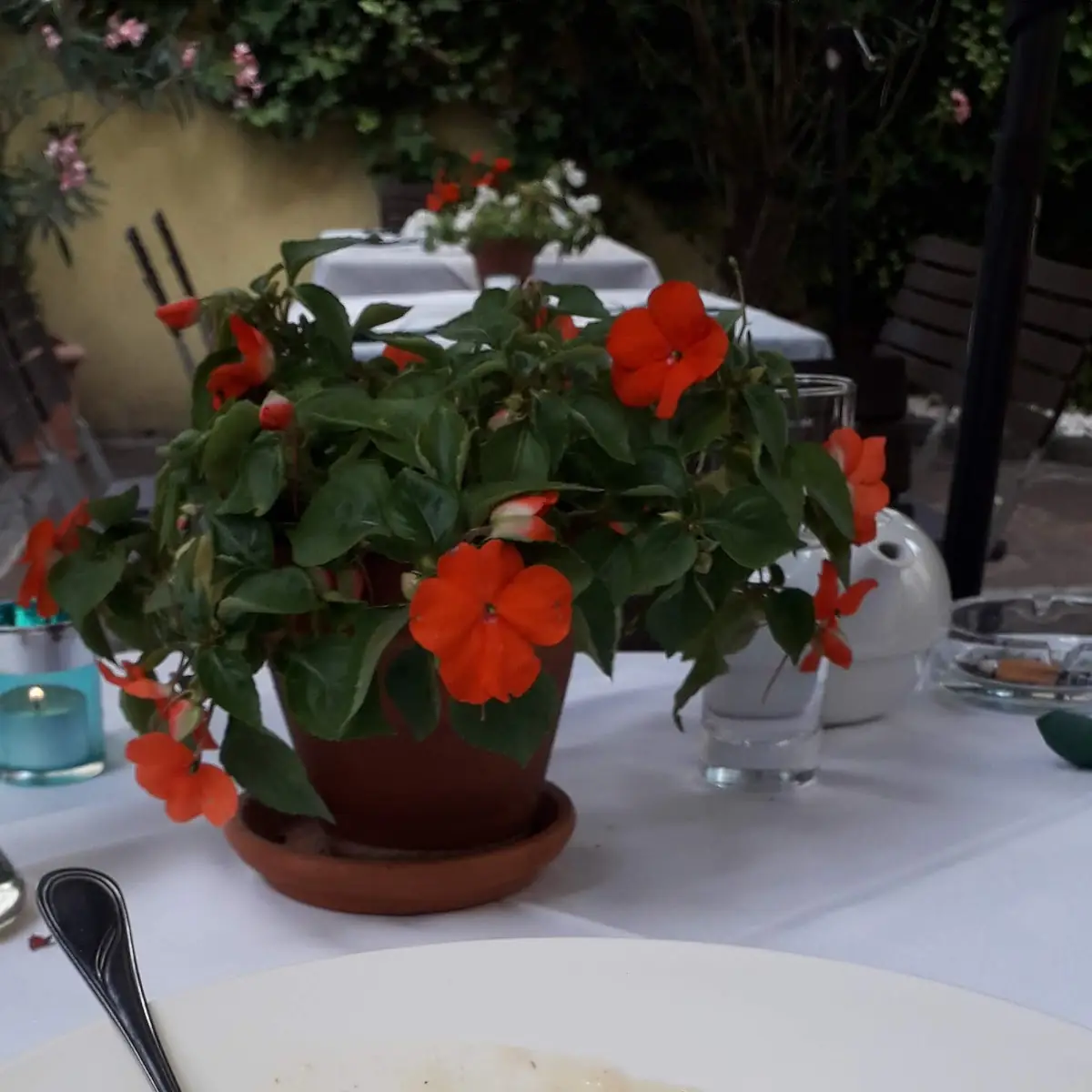 Schwammerlgulasch