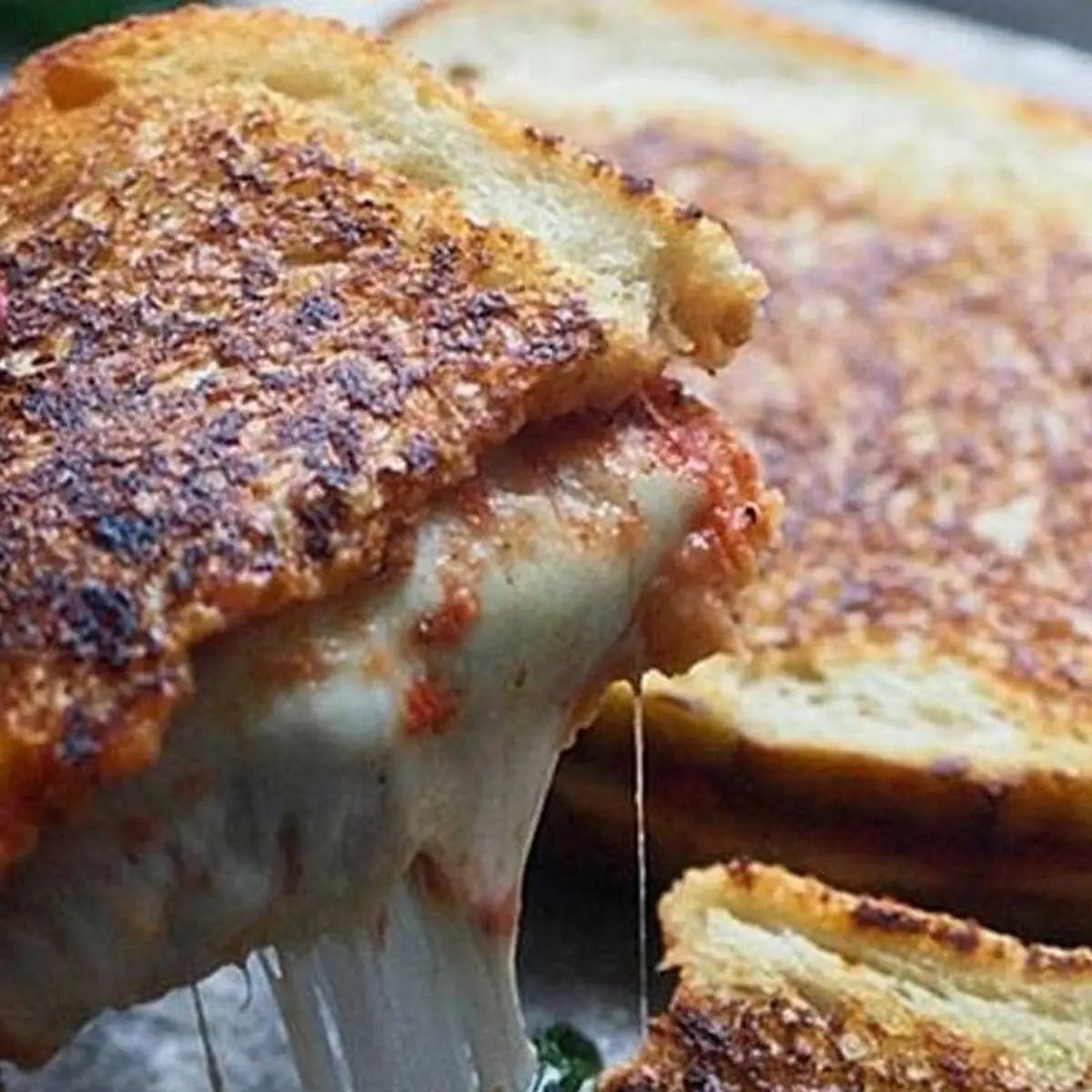 Double Cheese Sandwich