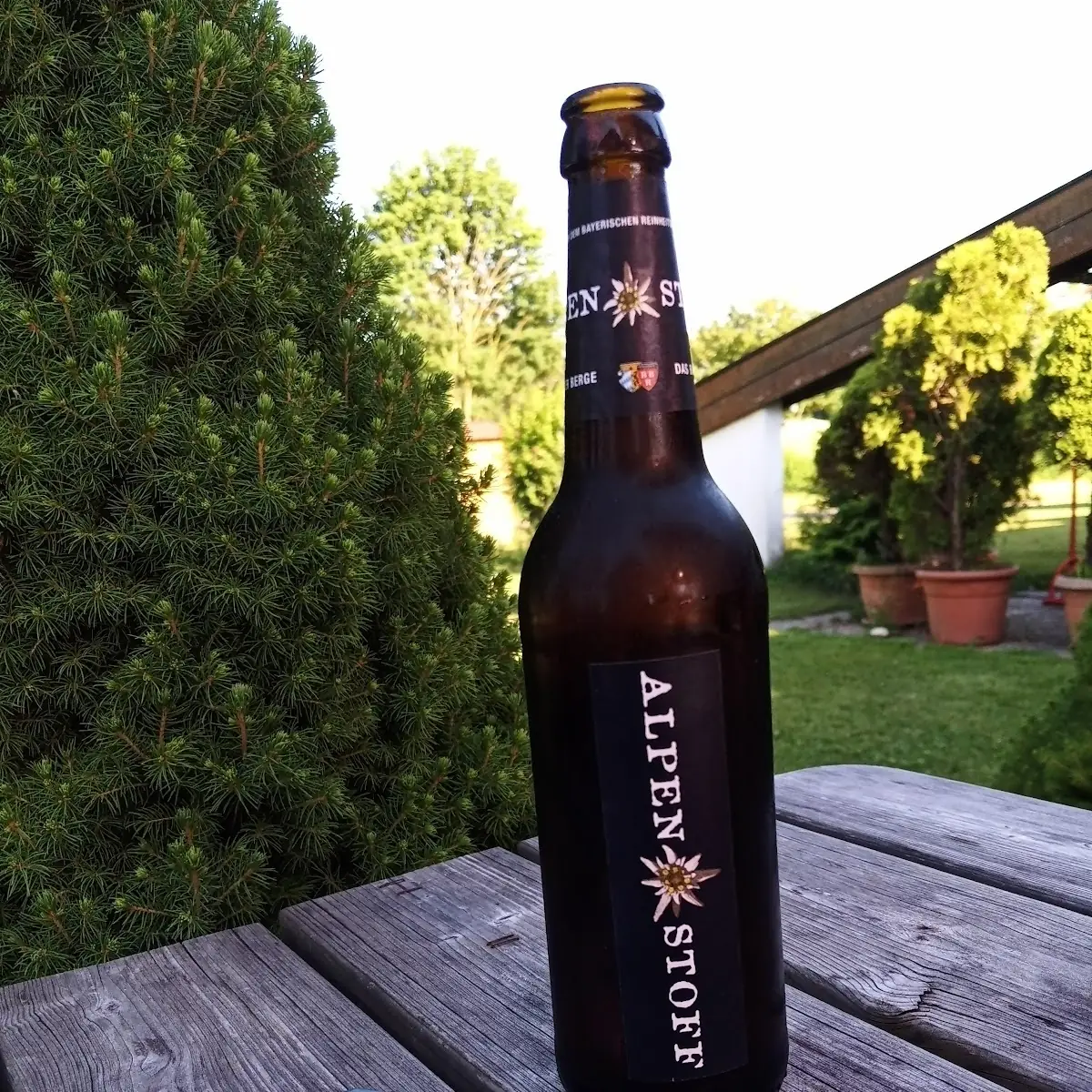 Bier