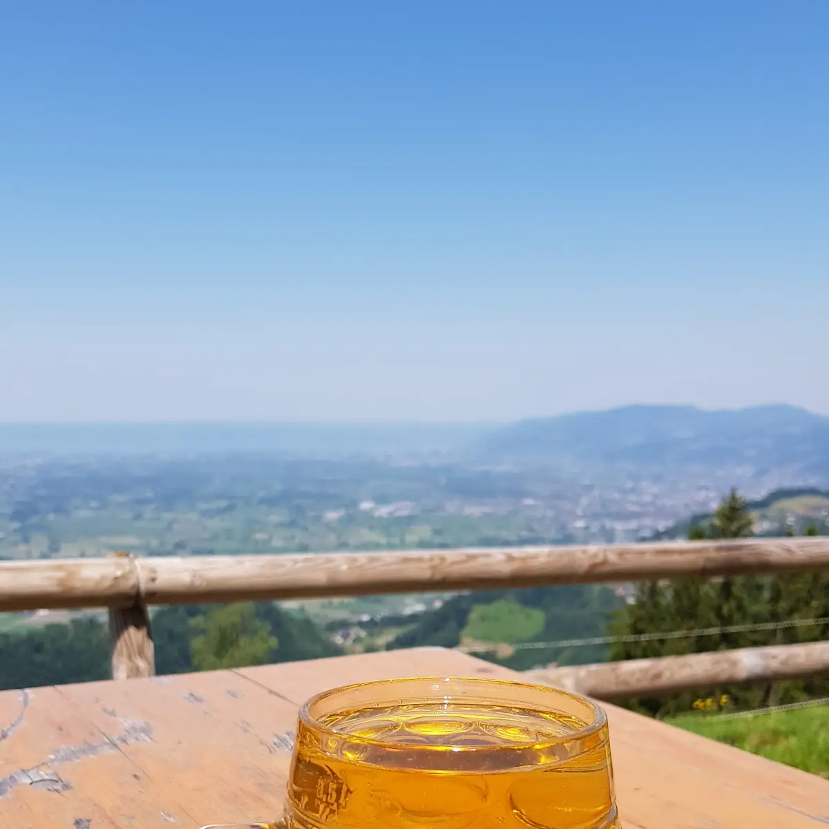 Gespritzter Most