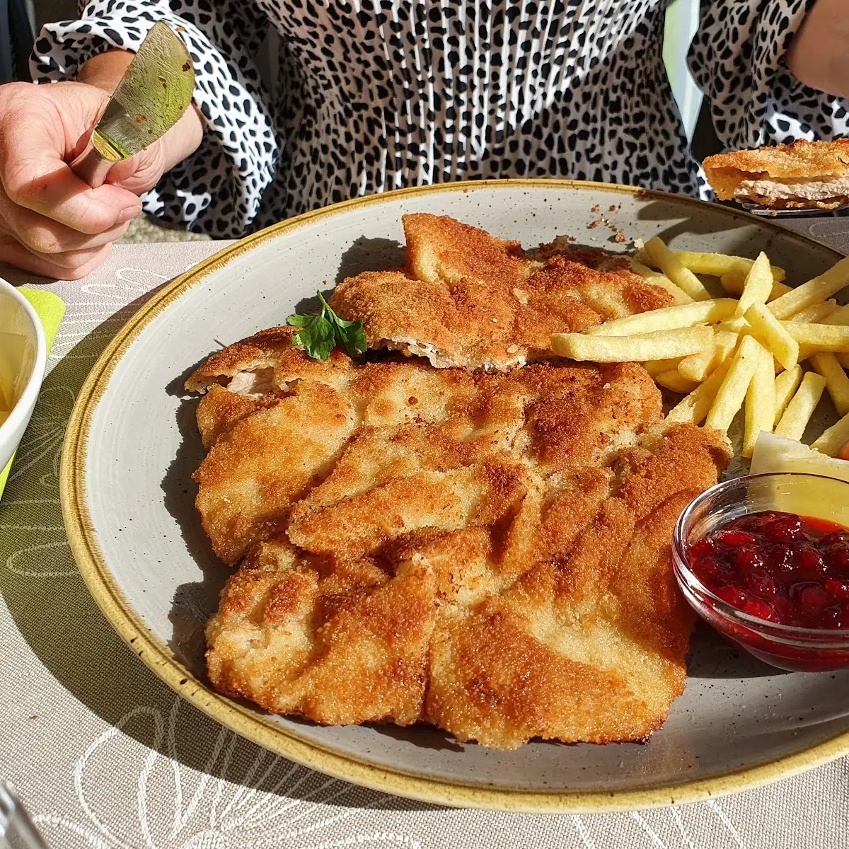 Schnipo
