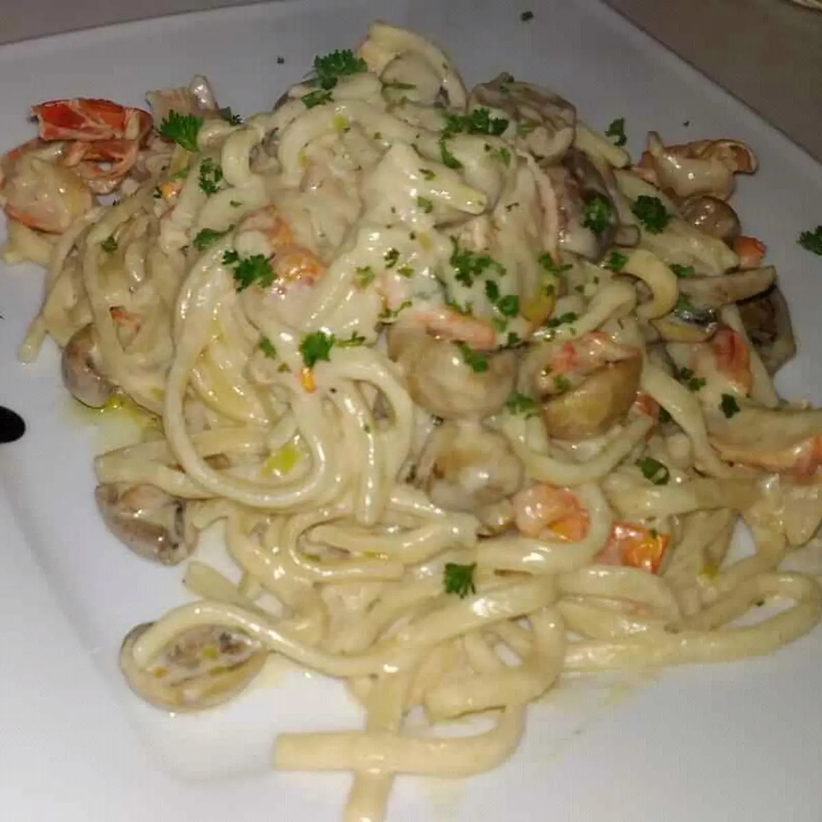 Pasta