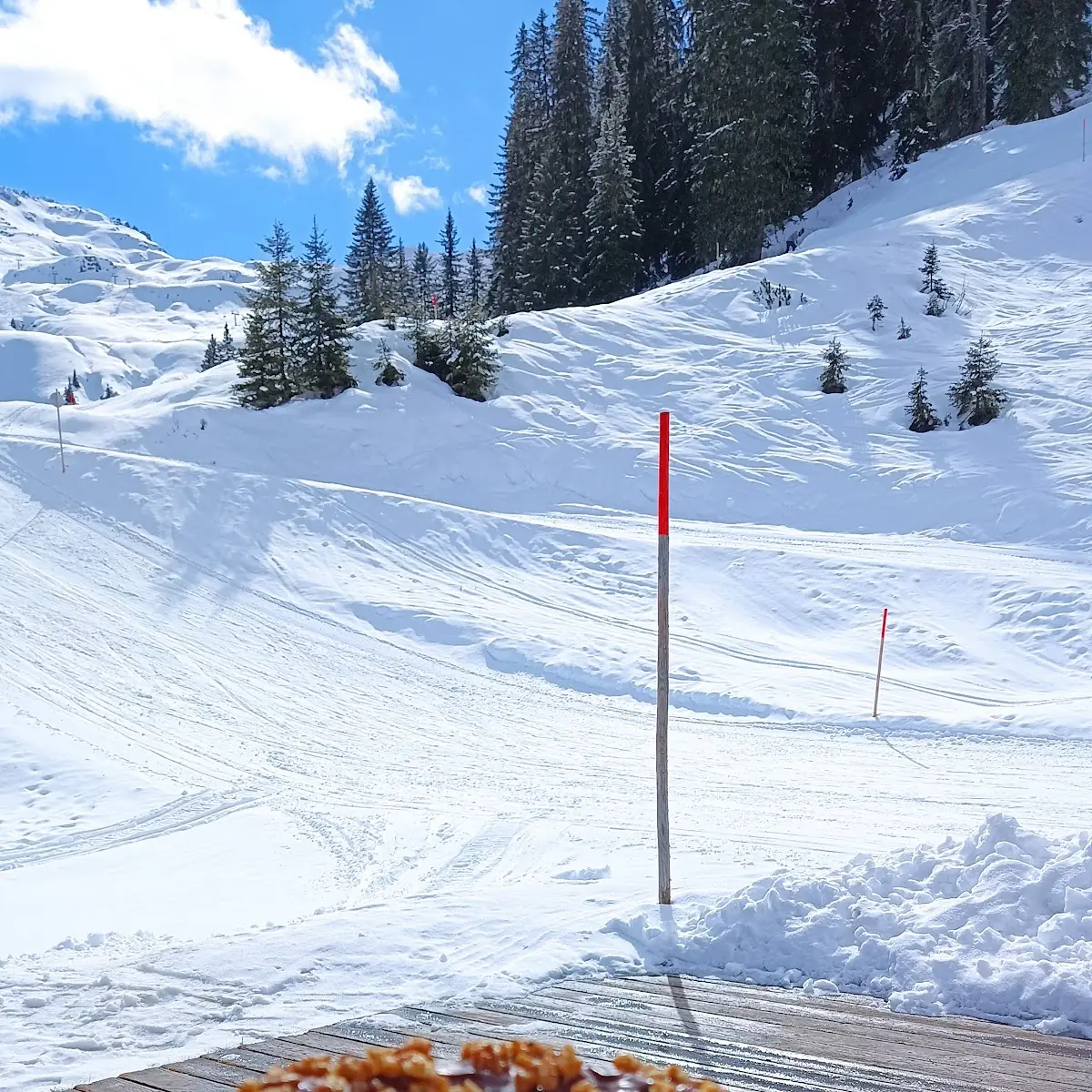 Weinbrandkuchen Mit Kandierten Wallnüssen