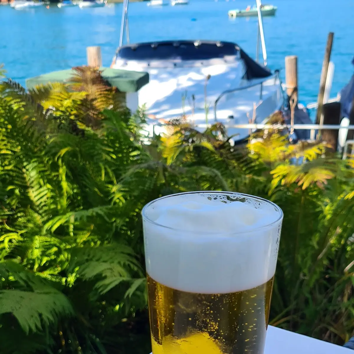 Bier