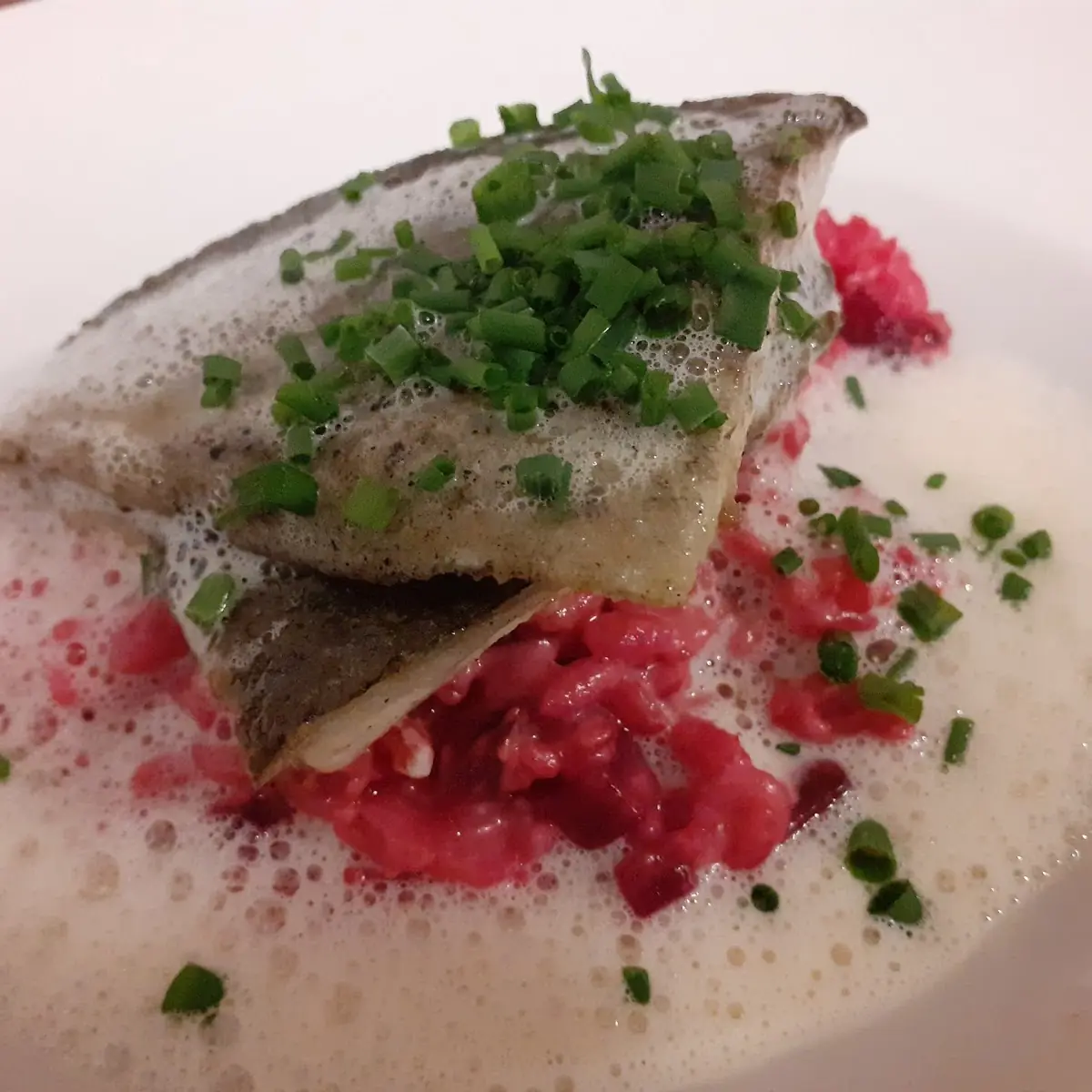 Saiblingsfilet Auf Rote Rüben Risotto Mit Krenschaum