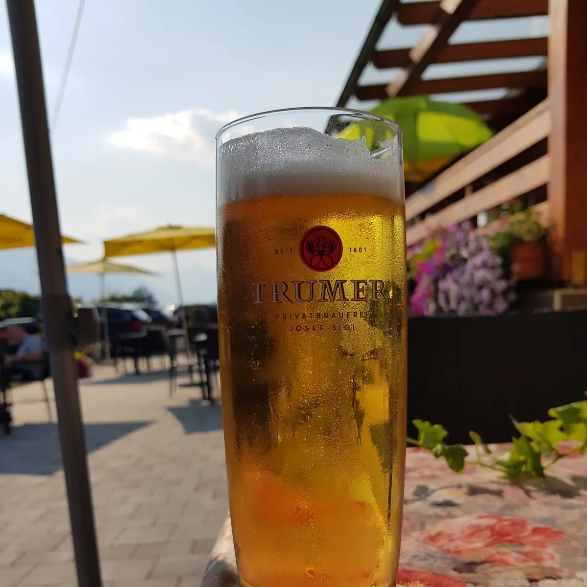 Bier