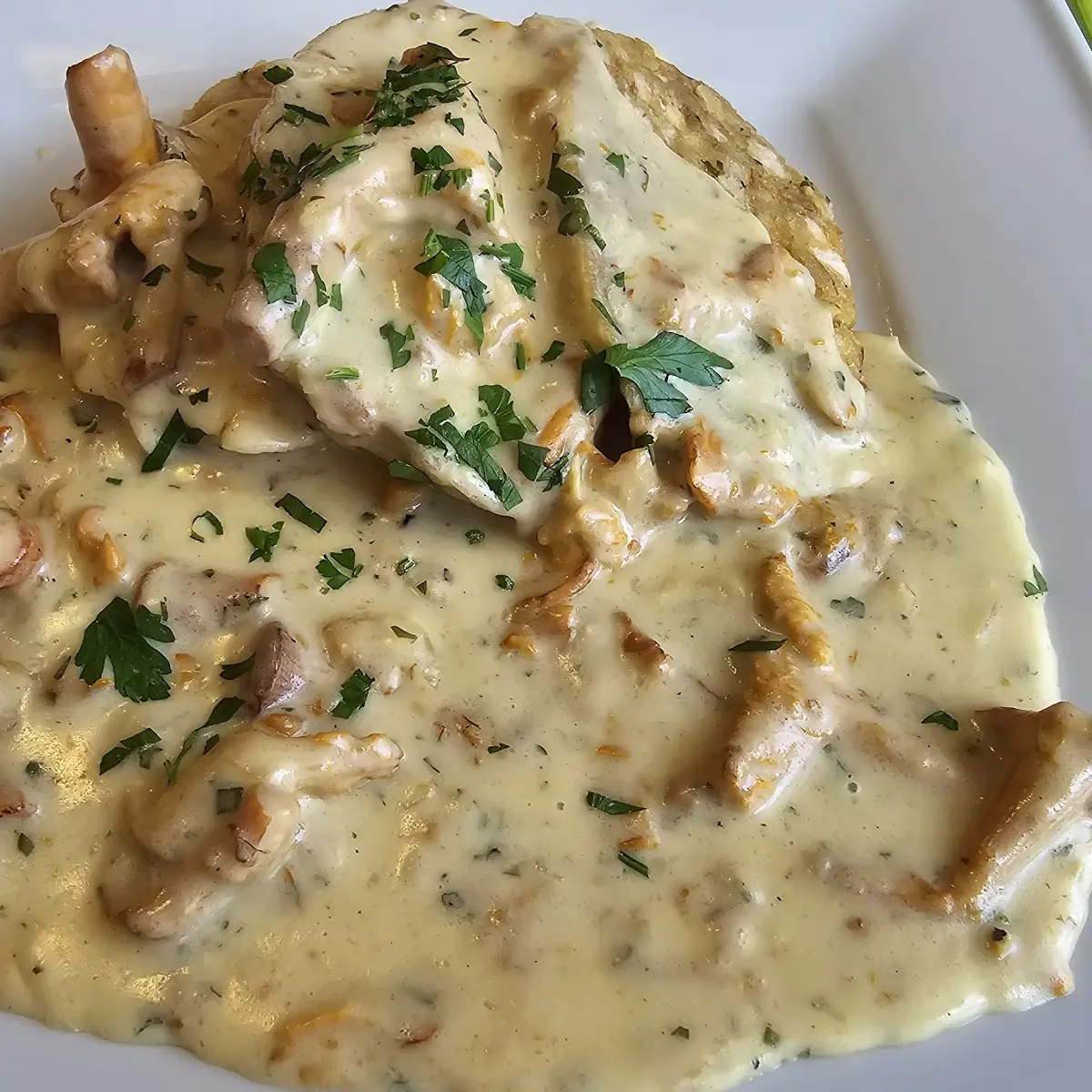Eierschwammerl Mit Semmelknödel