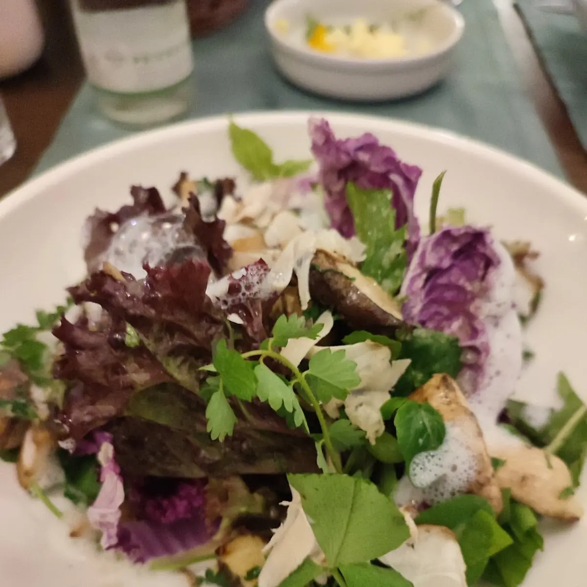 Blattsalat Mit Lila Chinakohl Und Steinpilzen